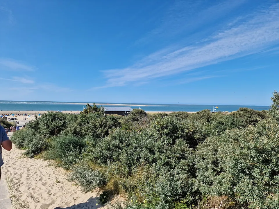 Dünenlandschaft von Renesse mit Blick auf die Nordsee